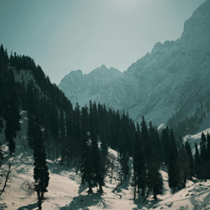KASHMIR PACKAGE