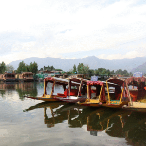KASHMIR PACKAGE
