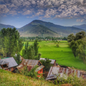 KASHMIR PACKAGE