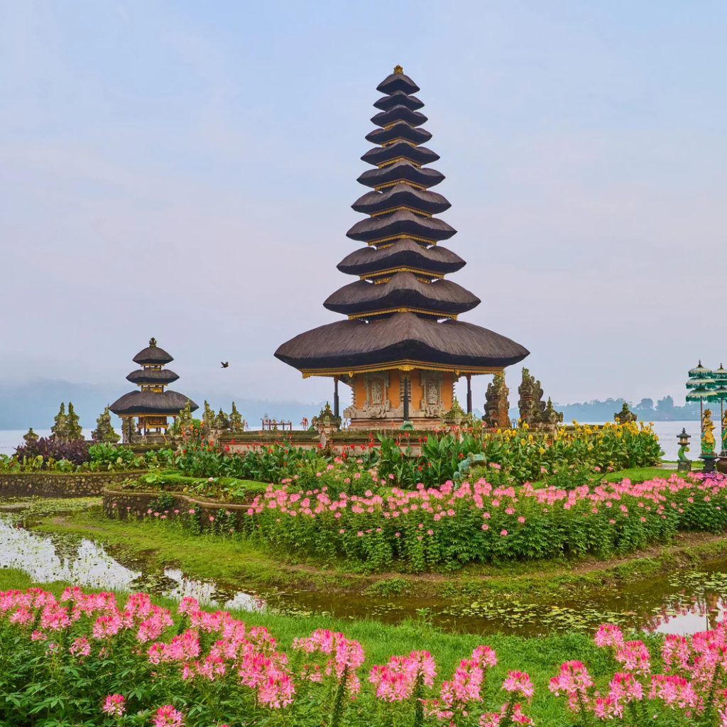 BALI PACKAGE