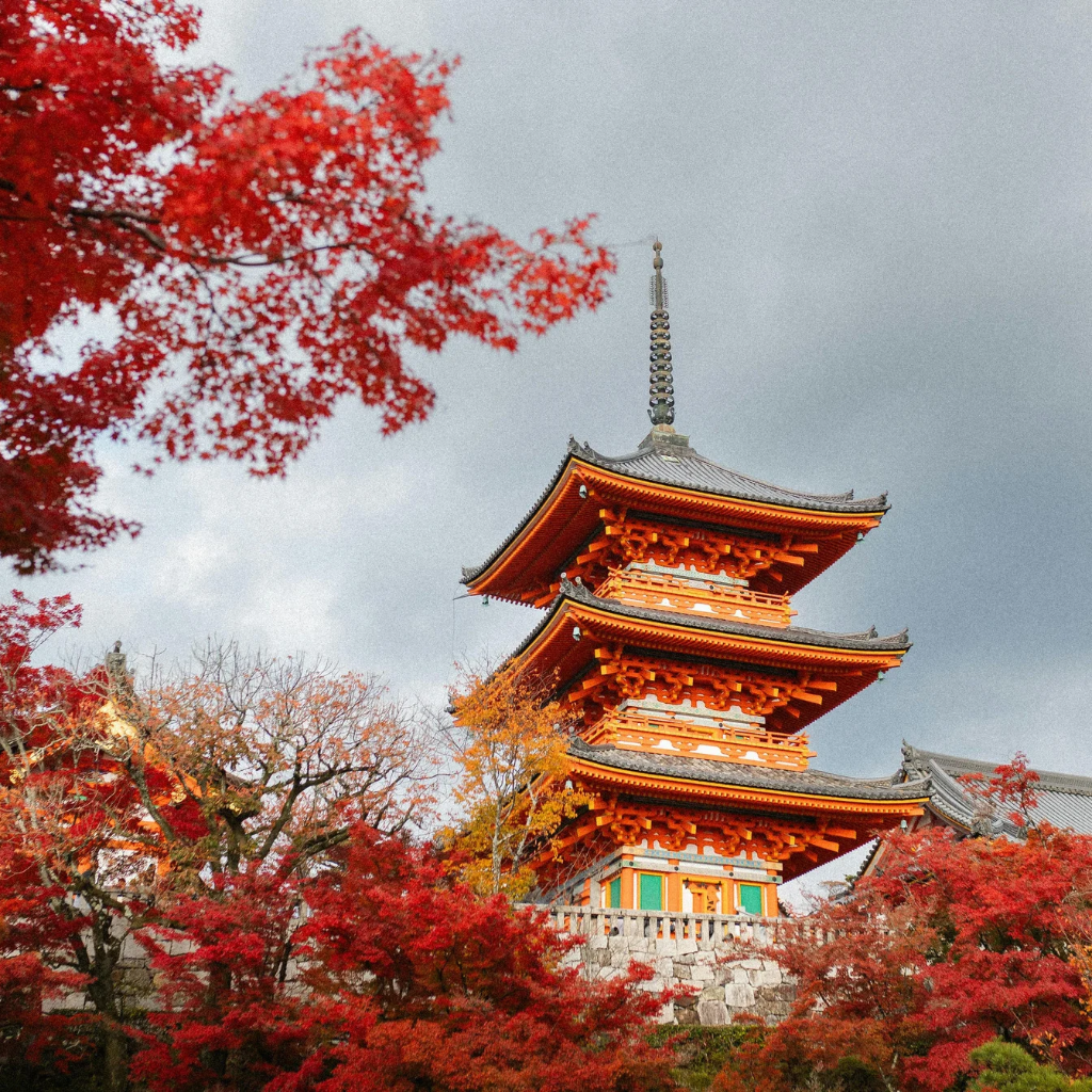 JAPAN PACKAGE